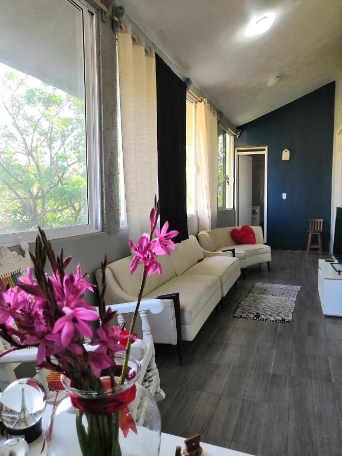 Montealban House Bed and Breakfast Oaxaca Εξωτερικό φωτογραφία